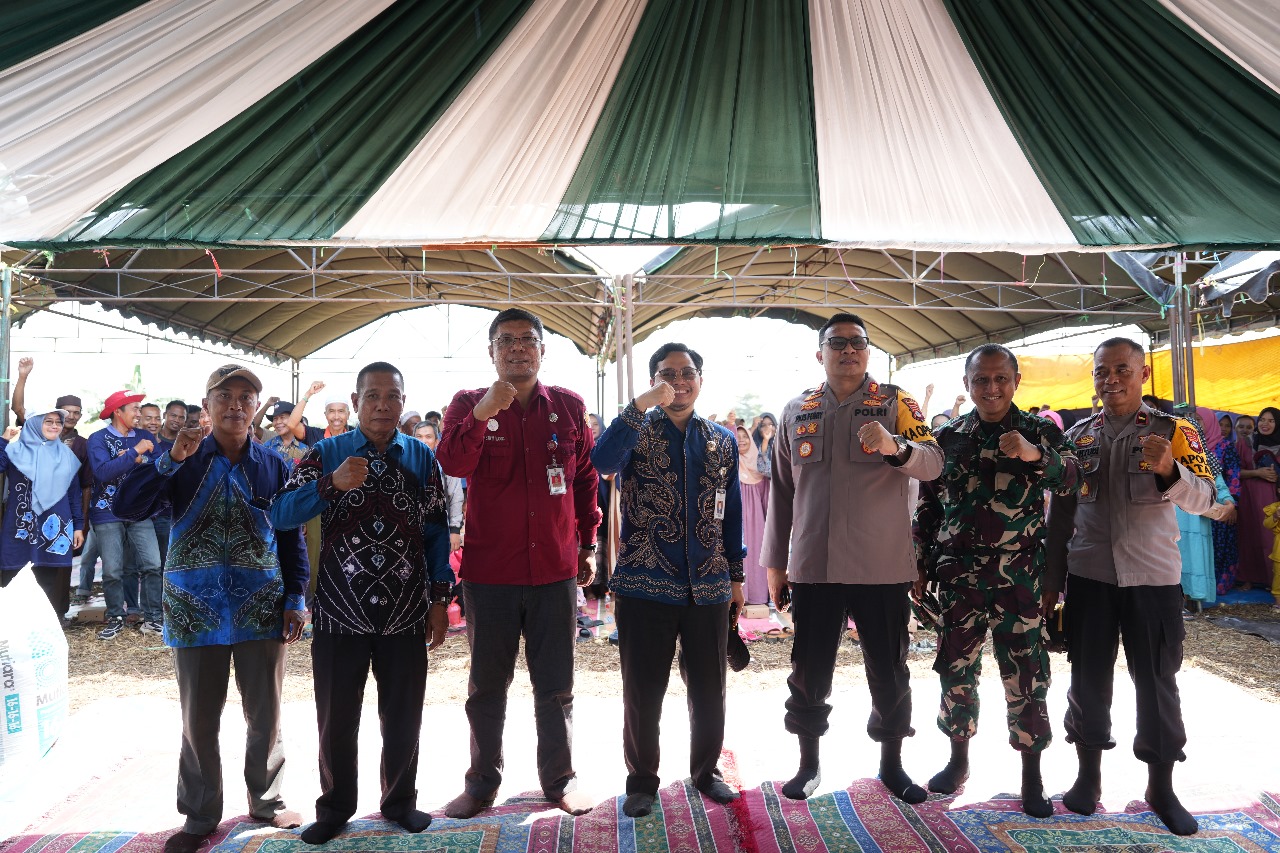 Bupati HST Lakukan Tanam Perdana Jagung Hibrida di Desa Awang