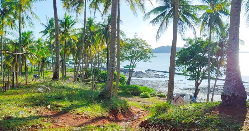 Pantai Tanjung Dewa Wisata Pantai Alami di Tanah Laut