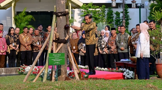 Jelang Akhir Jabatan, Jokowi Tanam Pulai sebagai Lambang Pembangunan Berkelanjutan