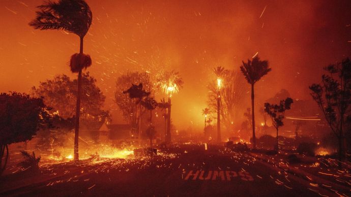 Los Angeles Dilanda Kebakaran Hutan, Ribuan Rumah Hancur