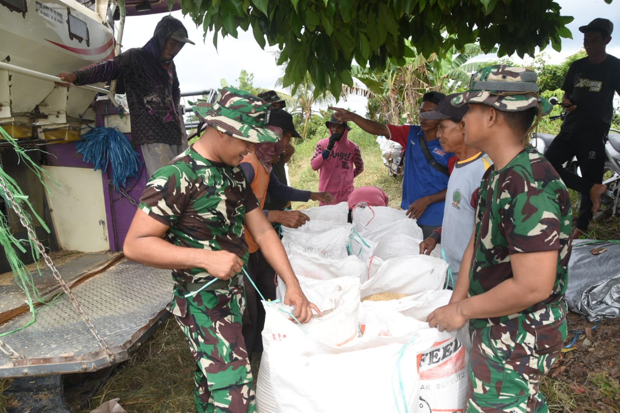 Satgas TMMD Kodim 1002/HST Dukung Ketahanan Pangan, Turun Langsung ke Sawah Bantu Petani