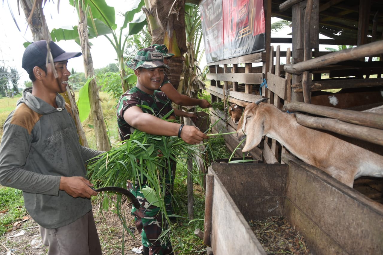 Selesai Bangun Jalan, Satgas TMMD jalin Silahturahmi ke Peternak Kambing