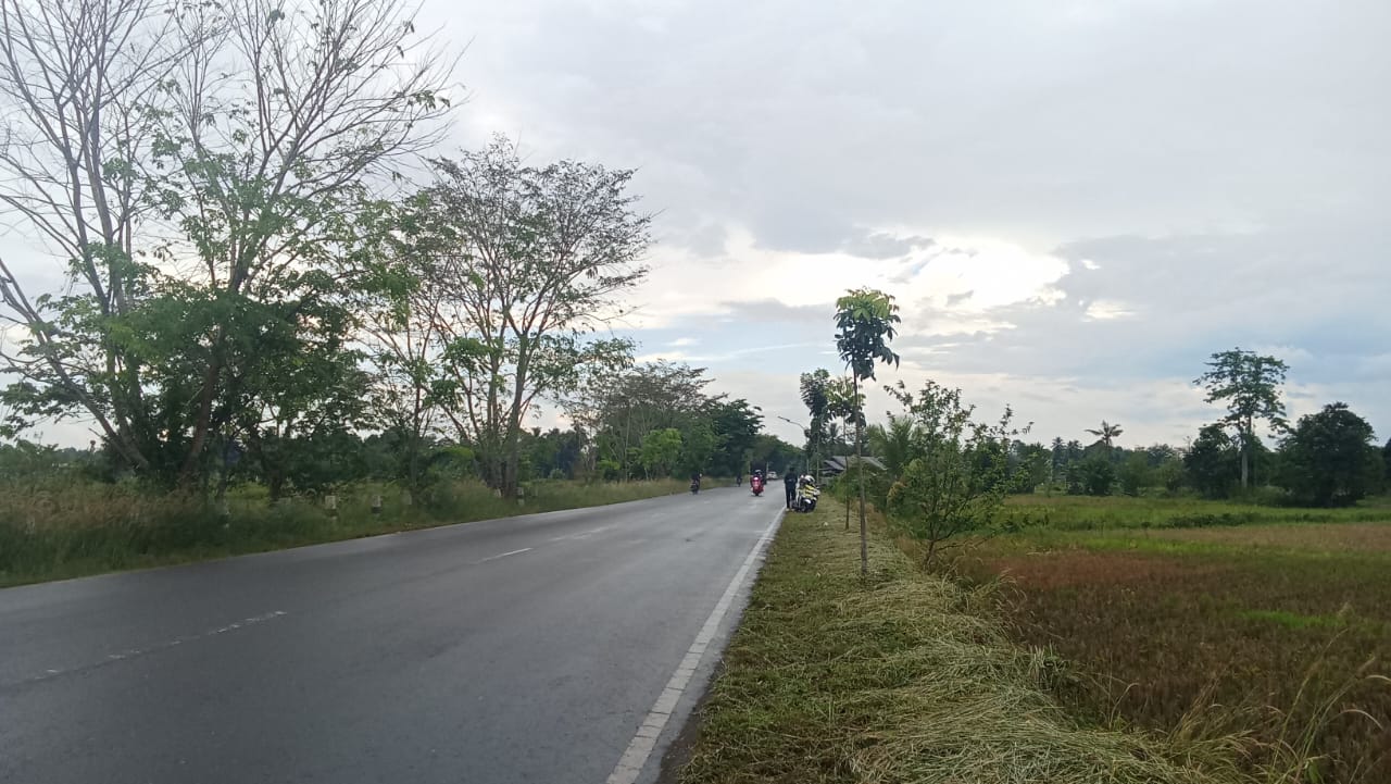 Jalan Lingkar Walangsi – Kapar Akan Terang, 160 Tiang PJU Siap Dipasang