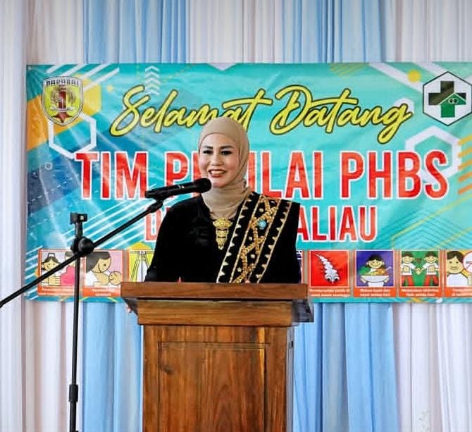 Desa Haliau Dinilai Tim Provinsi, Jadi Percontohan PHBS di Hulu Sungai Tengah